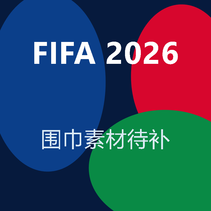 2026世界杯纪念围巾